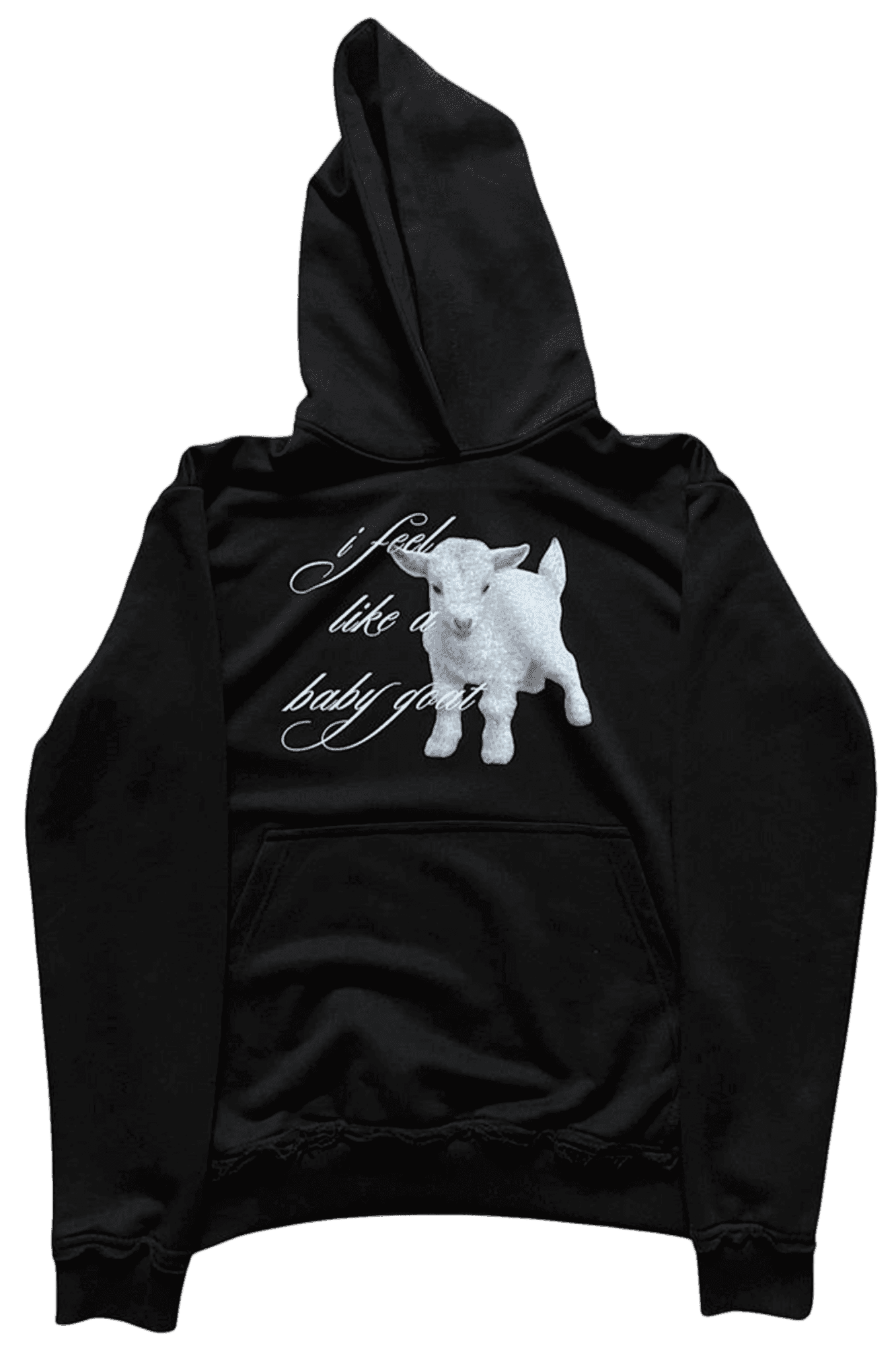 «baby goat»