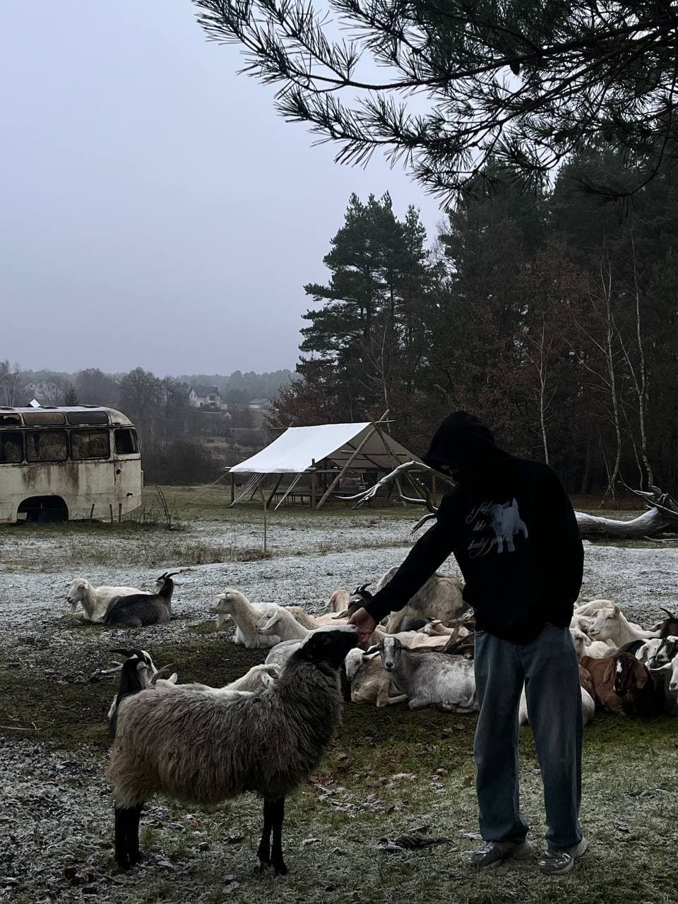 HOODIE BABY GOAT photo 1