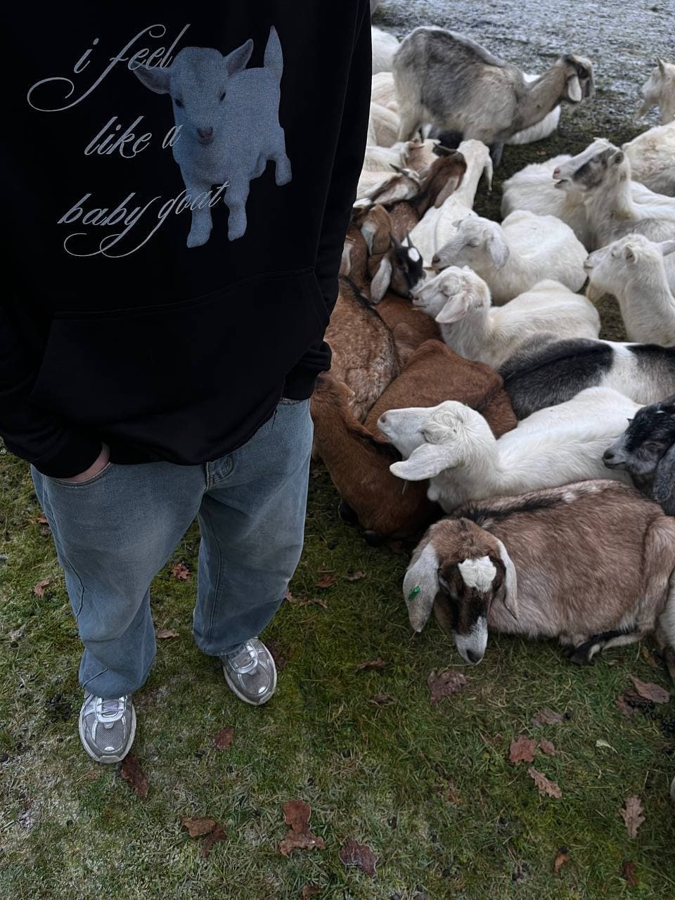 HOODIE BABY GOAT photo 2
