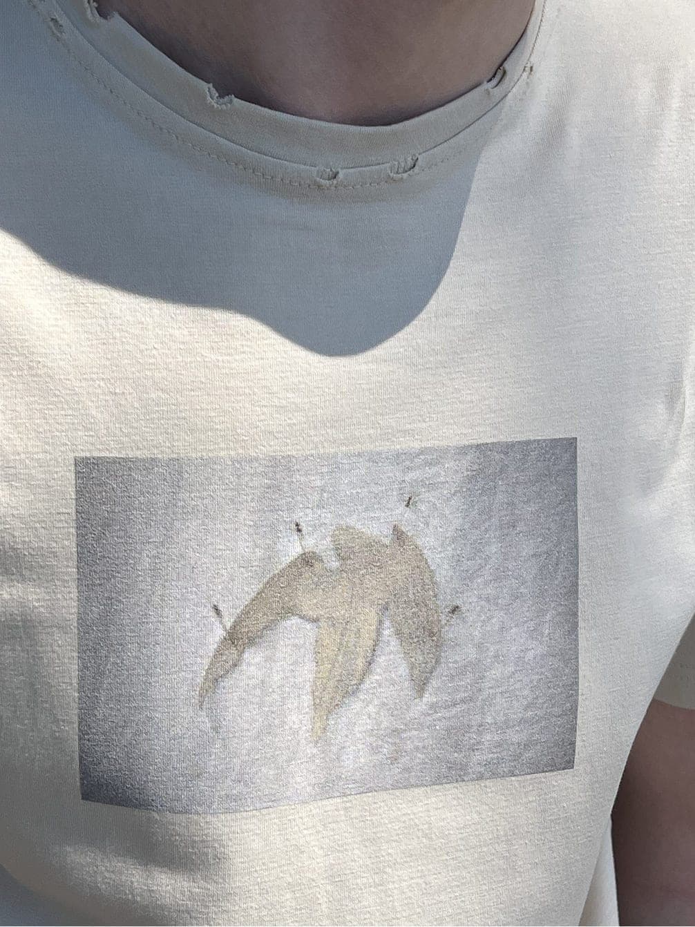 T-SHIRT dead photo 4