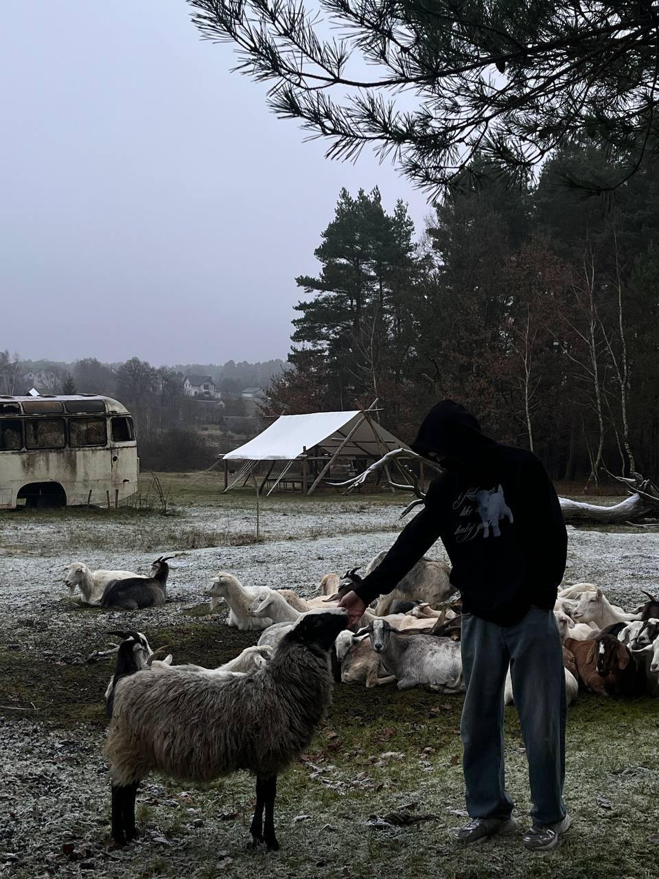 HOODIE BABY GOAT photo 1