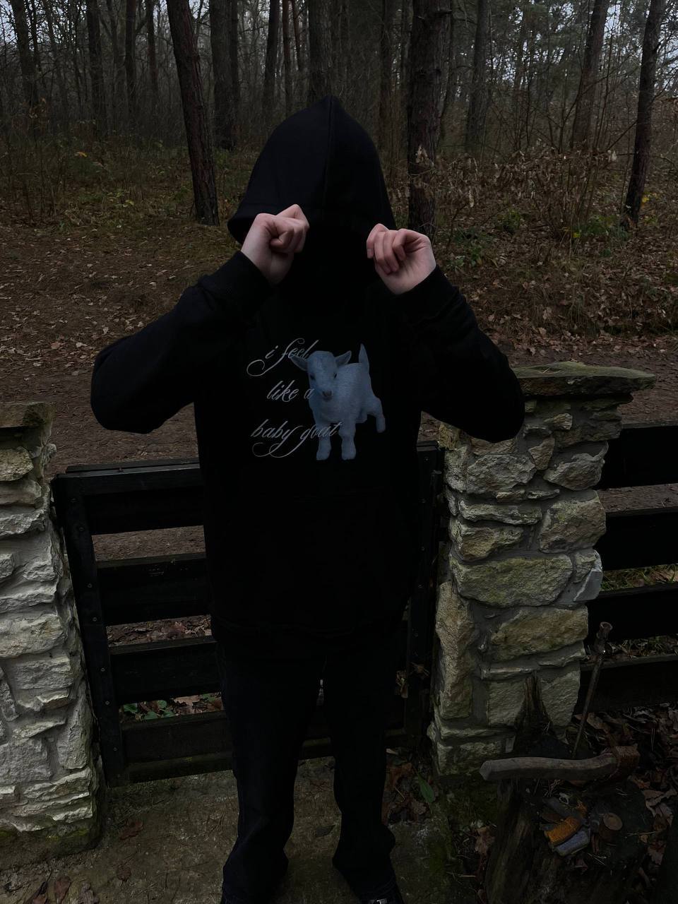 HOODIE BABY GOAT photo 3